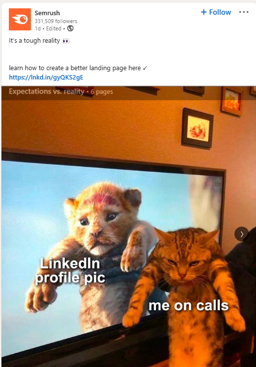  A screencap of a LinkedIn post from SEMRush with put-together, CGI cat next to a grumpy, real-life cat — a meme about expectations vs. reality