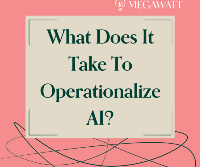 What Does It Take To Operationalize AI