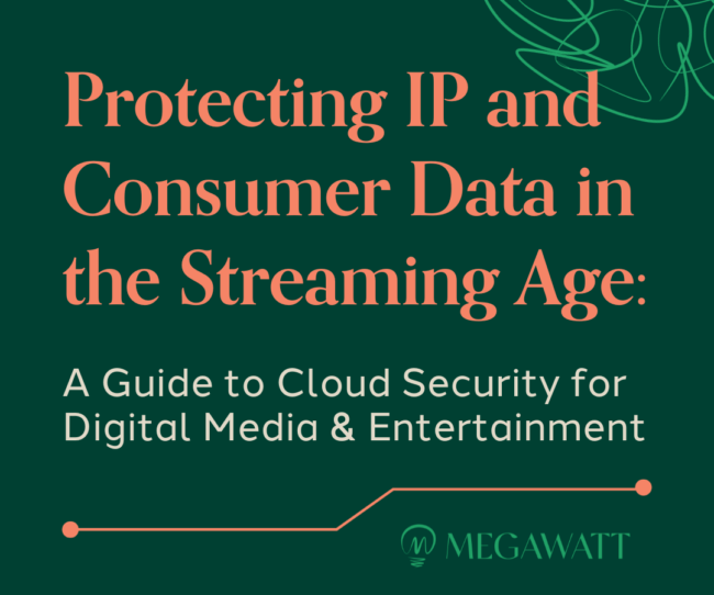 Protecting IP and Consumer Data in the Streaming Age (1)