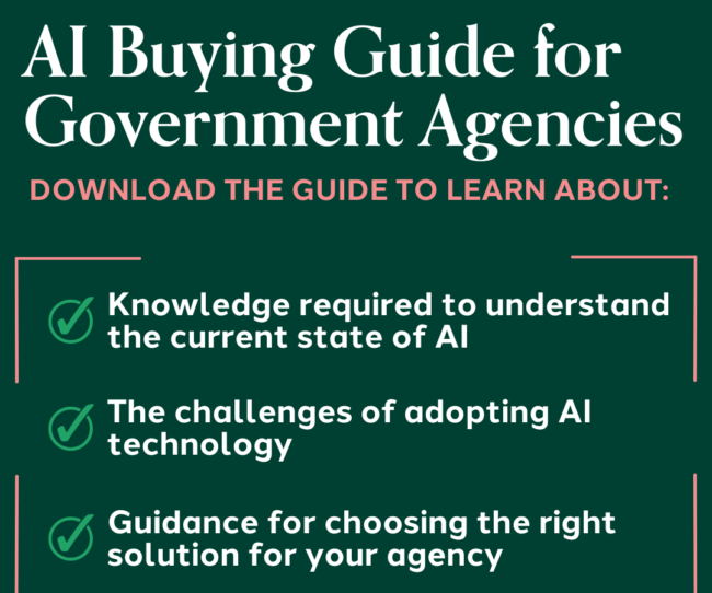 AI Buying Guide for Government Agencies